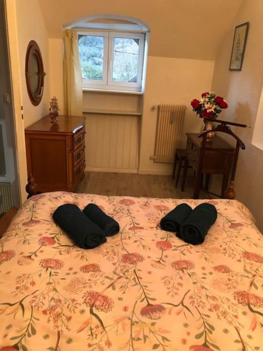 Appartement Rdc Dans Jolie Parc Arbore Beure Dış mekan fotoğraf